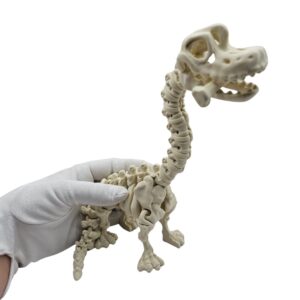 Dinozaur Brachiozaur | Szkielet sonco.pl