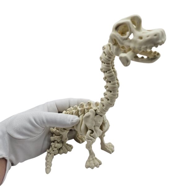 Dinozaur Brachiozaur | Szkielet sonco.pl