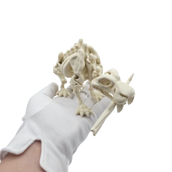 Tygrys Szablozębny | Szkielet sonco.pl