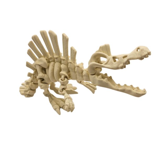 Dinozaur Spinozaur | Szkielet sonco.pl