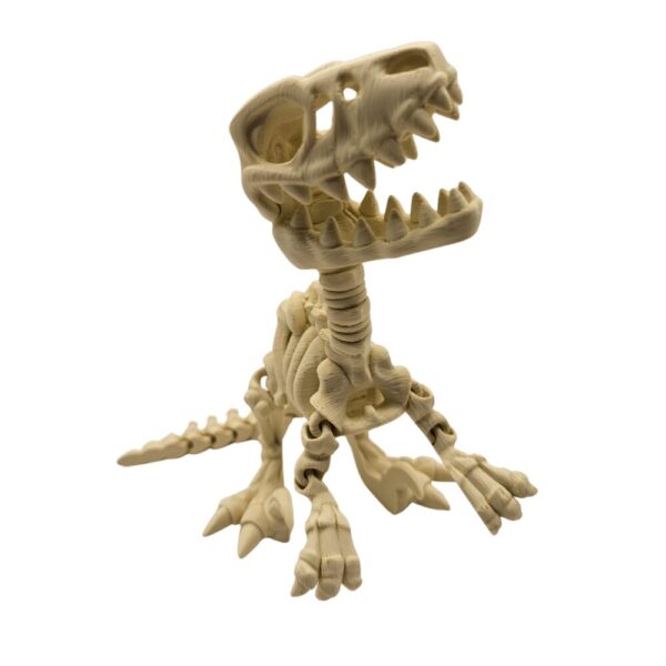 Dinozaur T-Rex | Szkielet sonco.pl