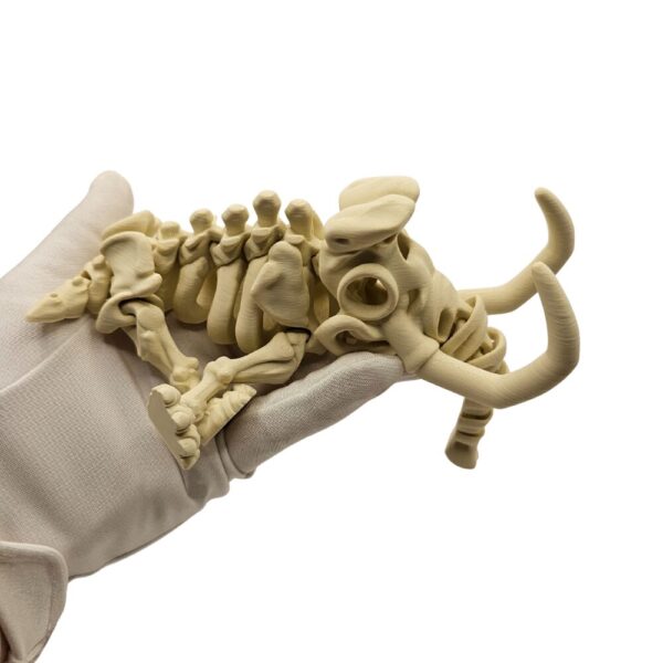 Ruchomy Szkielet Mamuta | Szkielety sonco.pl