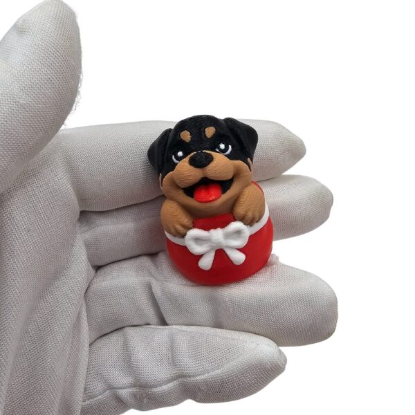 Baby Rottweiler Piesek | Zwierzak sonco.pl