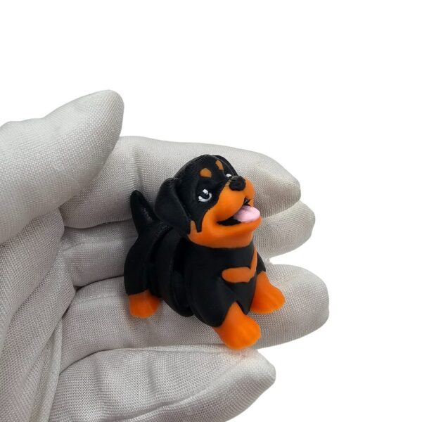 Mini Rottweiler Piesek | Zwierzak sonco.pl