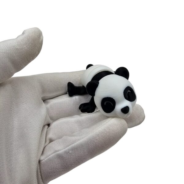 Mała Panda | Zwierzak sonco.pl