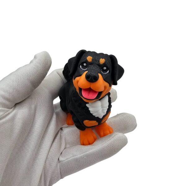 Rottweiler Piesek | Flexi Zwierzak sonco.pl