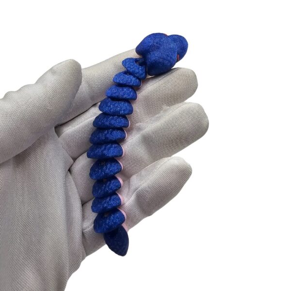 Mały Wąż Granatowy Lśniący | Zwierzak sonco.pl