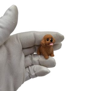 Miniaturowy Pudel Pies | Flexi Zwierzak sonco.pl